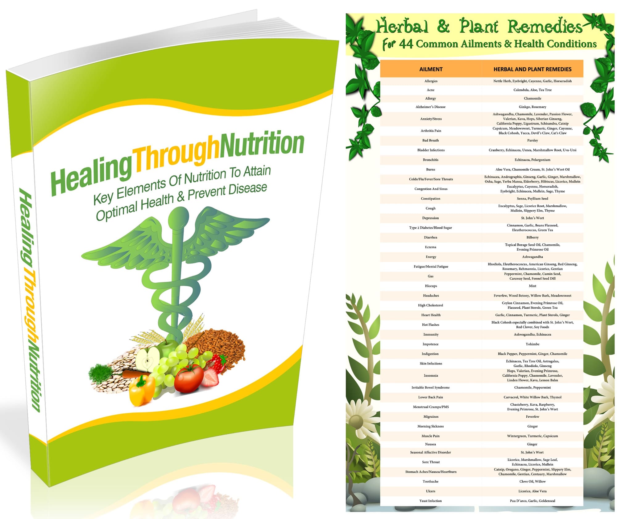 Healing With Herbs PLR