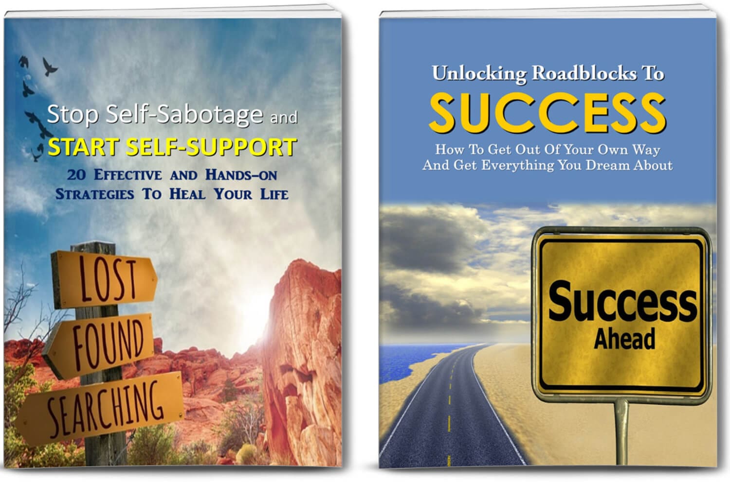 Success PLR