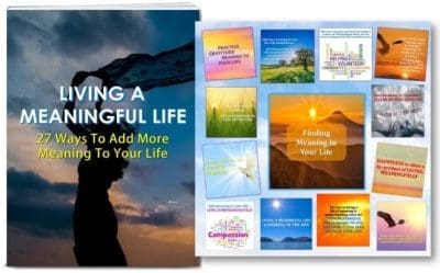 meaningful life plr