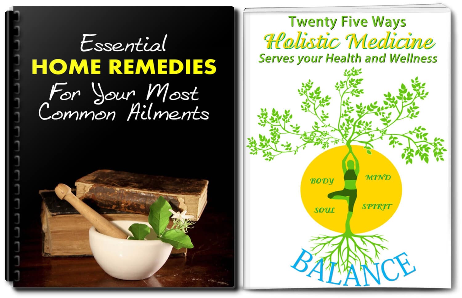 Holistic Medicine/Natural Remedies PLR