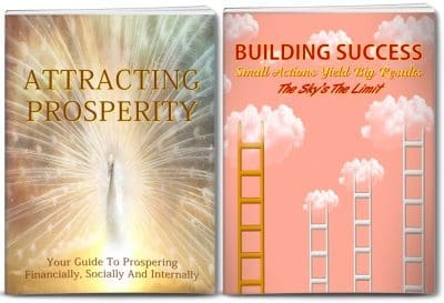 prosperity and success plr