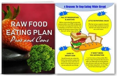 raw food healthy diet plr