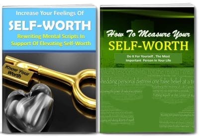 self-worth plr