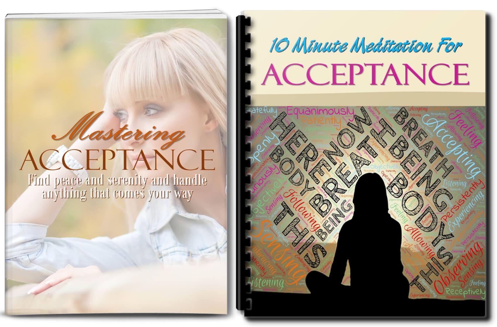 acceptance plr