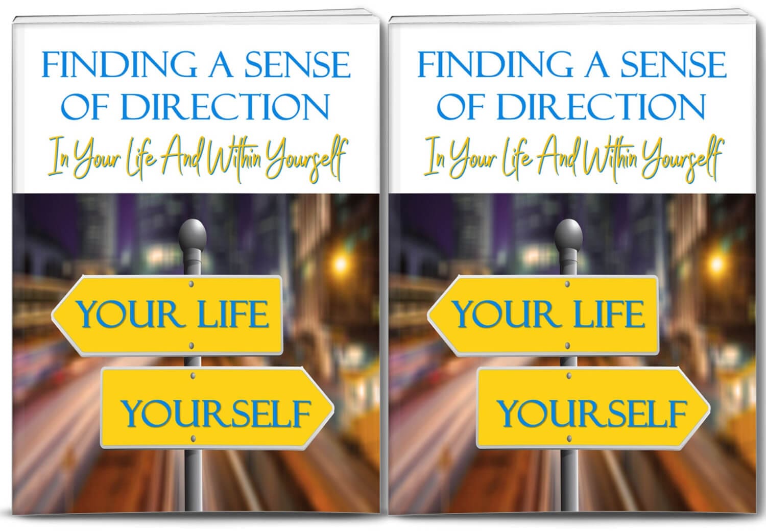 self-improvement PLR