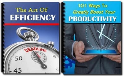 efficiency and productivity PLR