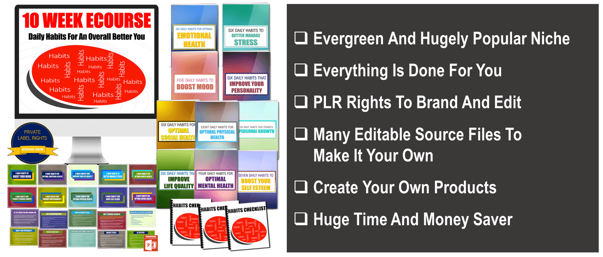 Life Habits eCourse PLR