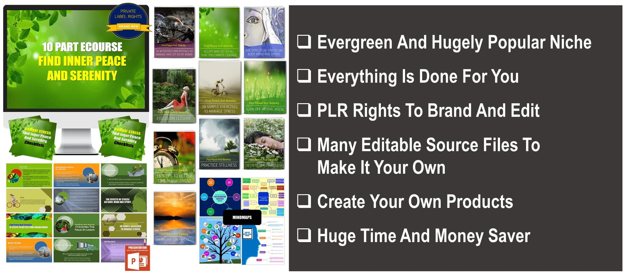 10 Part eCourse: Combat Stress - Find Inner Peace & Serenity In A Chaotic World 300+ Piece PLR Pack