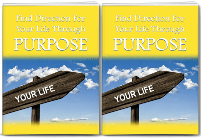 Purpose PLR