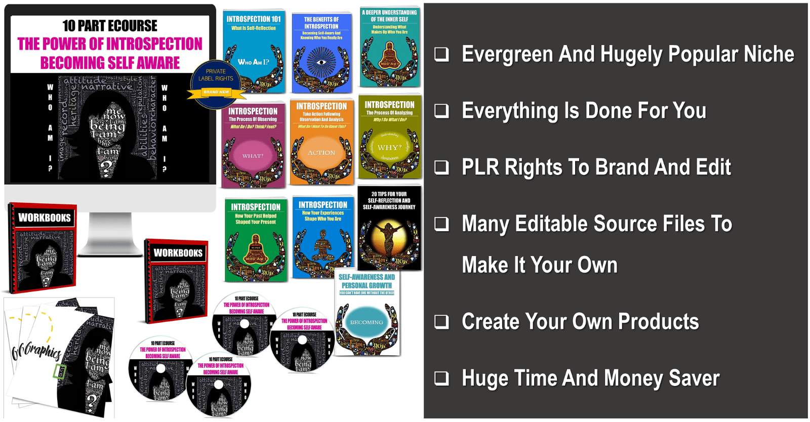 10 Part eCourse: The Power Of Introspection: Becoming Self-Aware PLR Pack