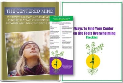 The Centered Mind Report, Articles and Graphic PLR